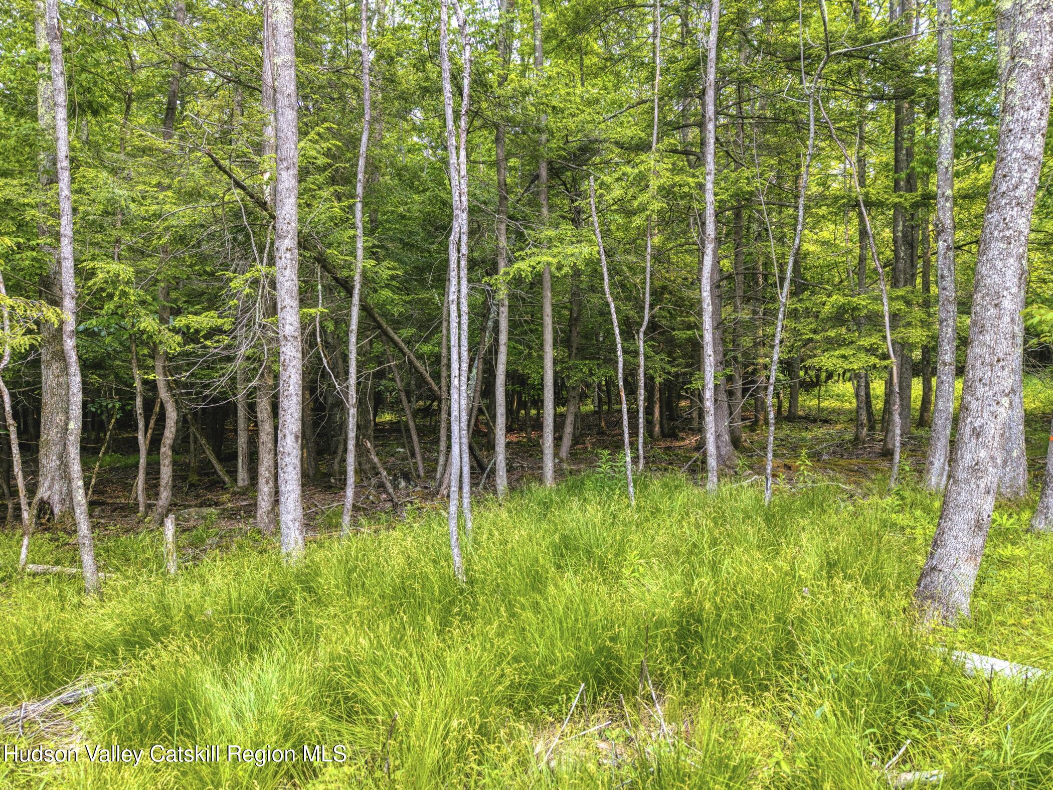 Tbd Boulder Brook Road Windham, NY 12496 - Photo 76 of 78 a view of garden
