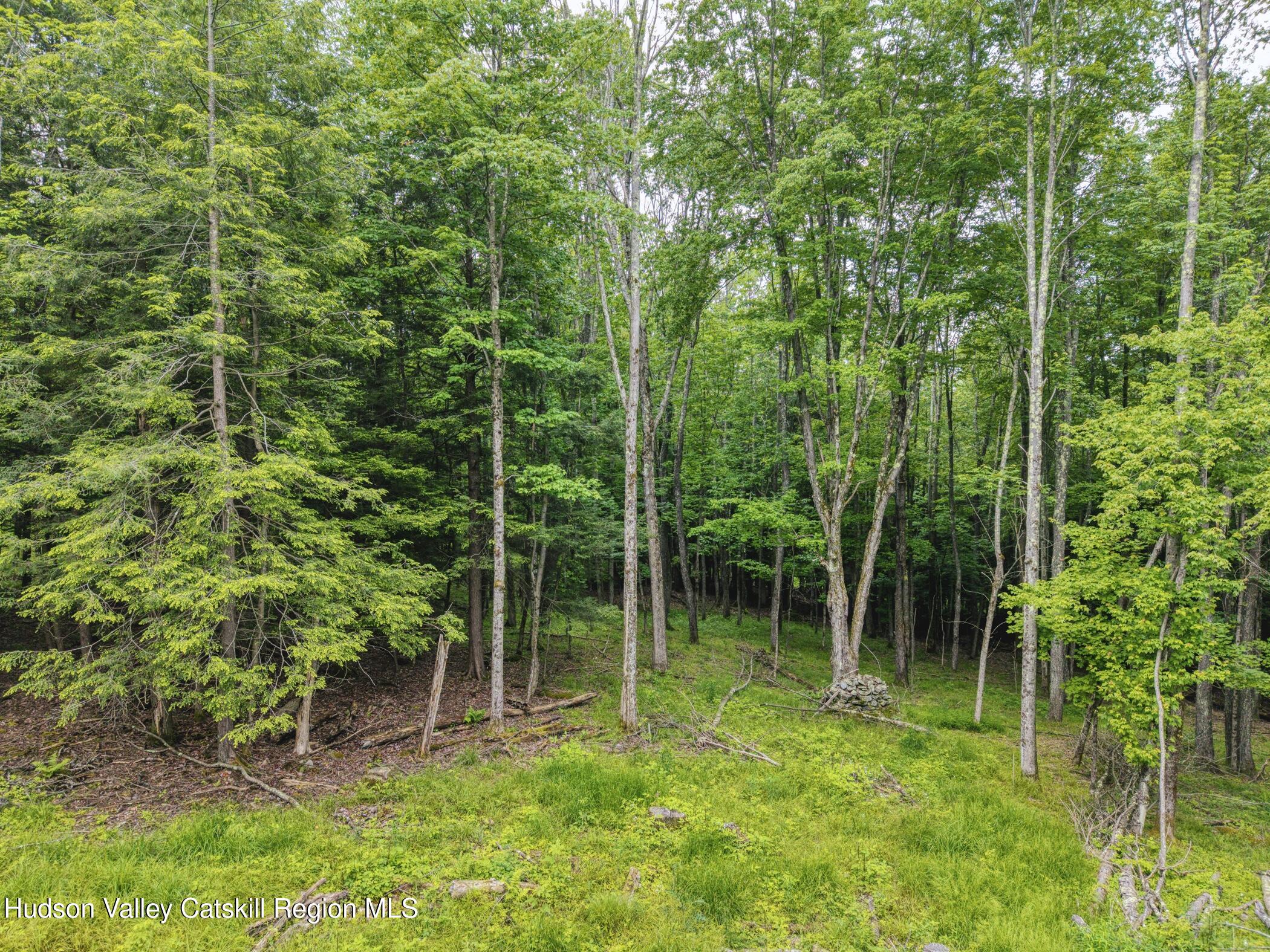 Tbd Boulder Brook Road Windham, NY 12496 - Photo 77 of 78 Image-74