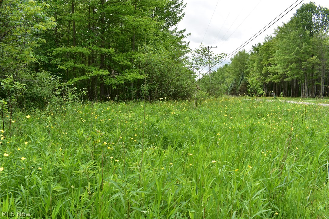 Forman Road Austinburg, OH 44010 - Photo 10 of 21 Gallery Image 10