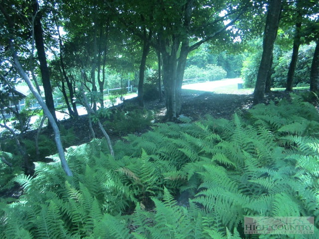 1122 Grandview Drive Extension Boone, NC 28607 - Photo 18 of 25 Gallery Image 18