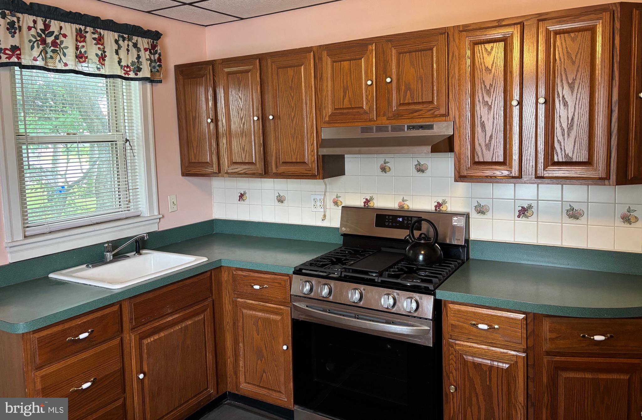 6783 Ridge Avenue Philadelphia, PA 19128 - Photo 9 of 26 a kitchen with granite countertop a stove a sink dishwasher and cabinets with wooden floor