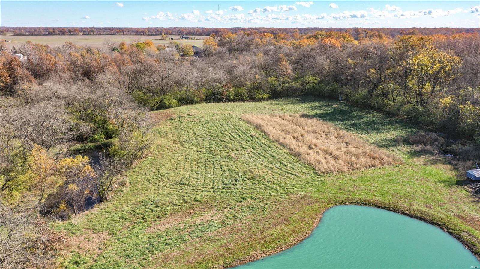22663 Tall Timber Road Mount Olive, IL 62069 - Photo 10 of 97