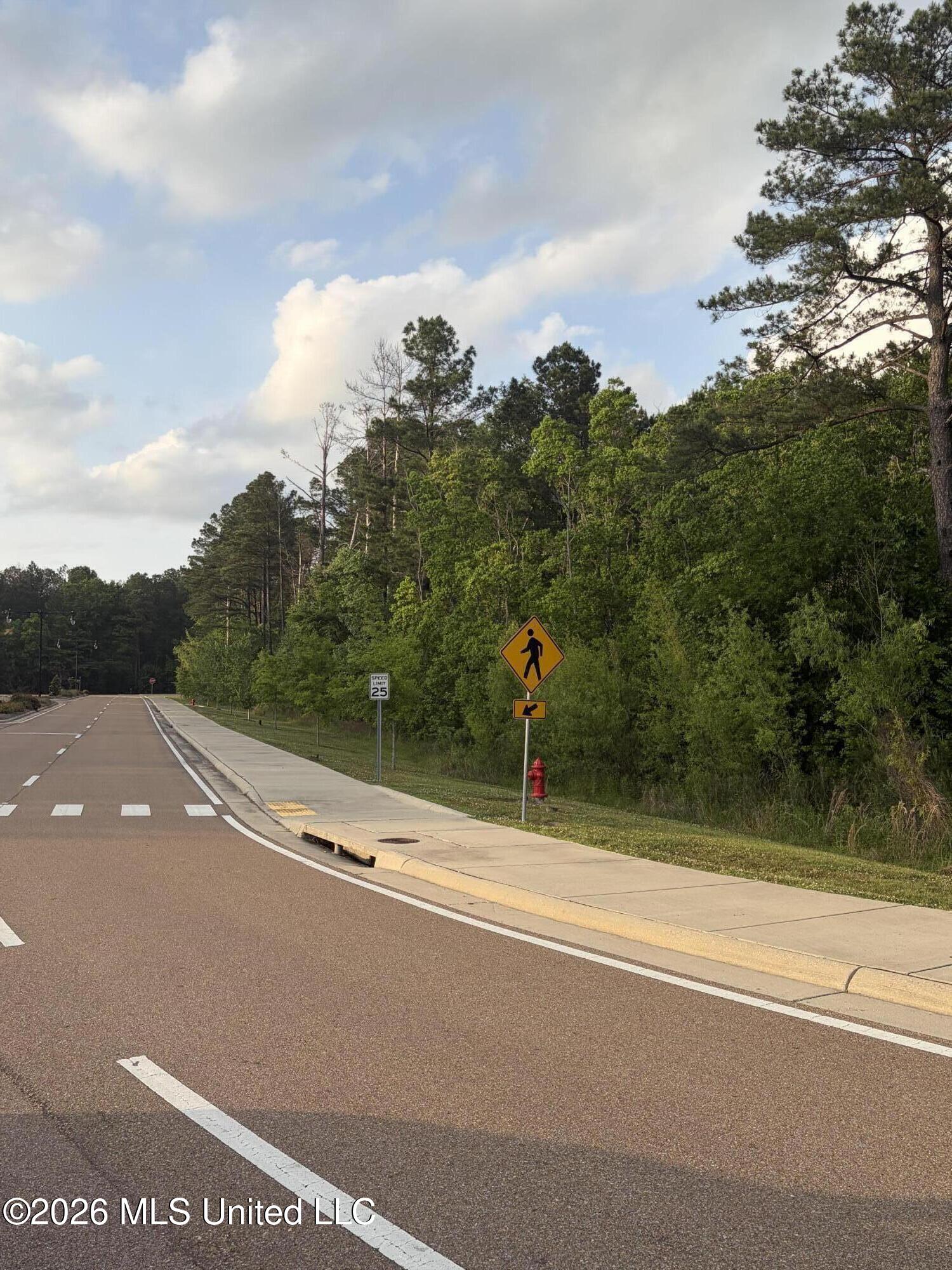 Airport Road Flowood, MS 39232 - Photo 5 of 8 Land Image 0