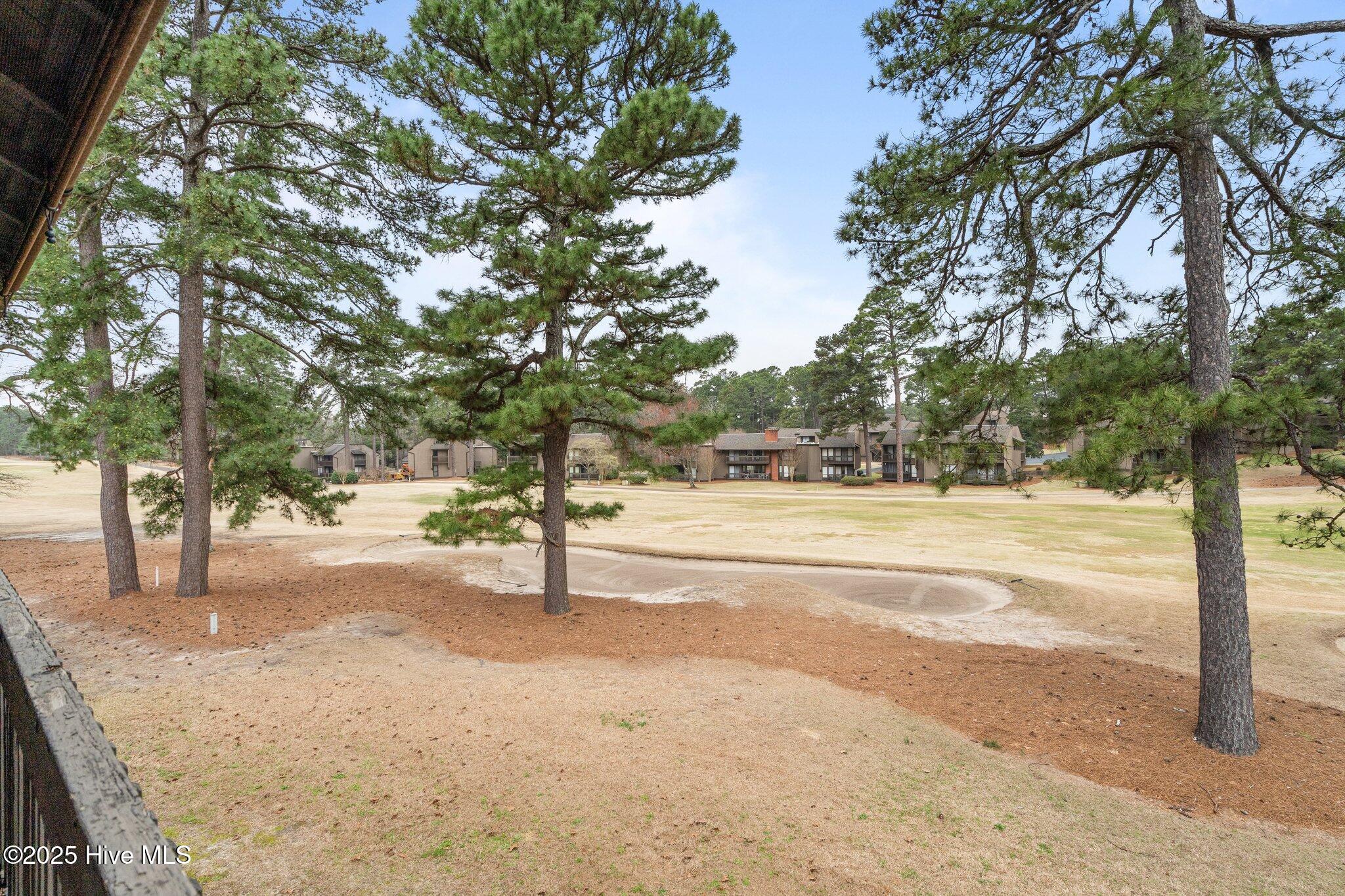 5 Pine Tree Road, Unit 208 Pinehurst, NC 28374 - Photo 5 of 25 4-web-or-mls-DSC03537