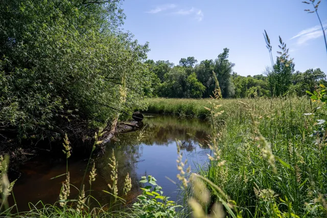 $57,500 | Tbd West 6th Street, Randall, MN 56475