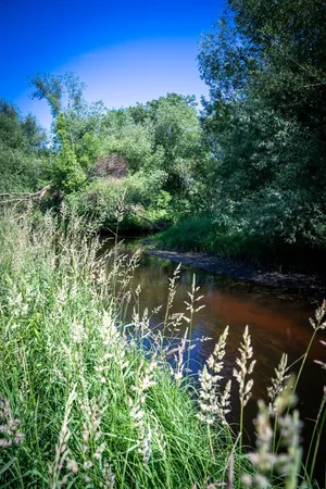 $57,500 | Tbd West 6th Street, Randall, MN 56475