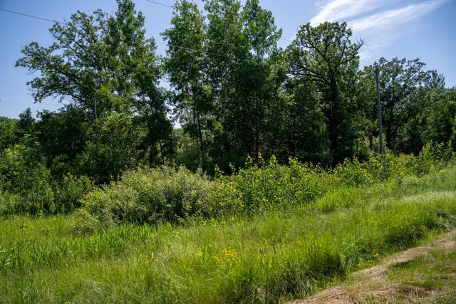 $57,500 | Tbd West 6th Street, Randall, MN 56475