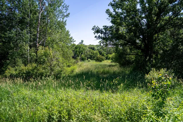 $57,500 | Tbd West 6th Street, Randall, MN 56475
