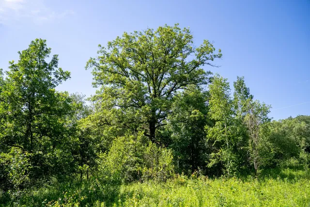 $57,500 | Tbd West 6th Street, Randall, MN 56475