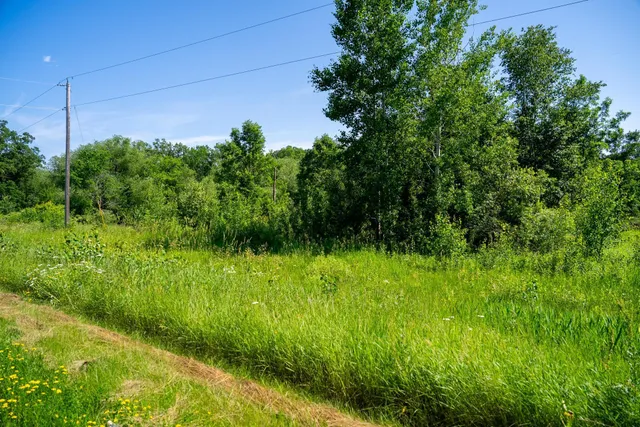 $57,500 | Tbd West 6th Street, Randall, MN 56475