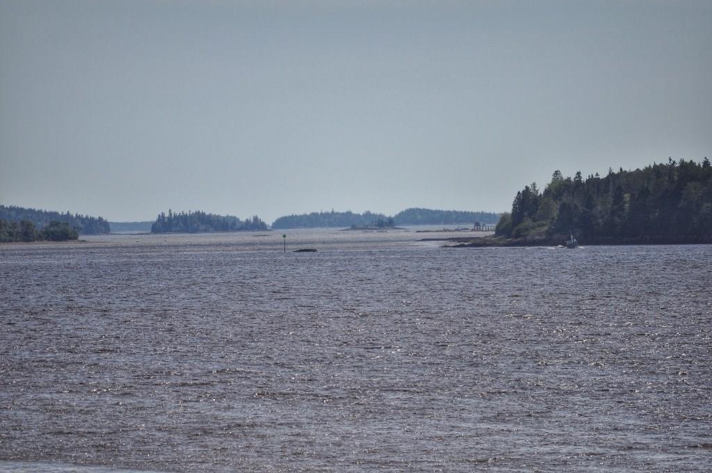 95 East Side Road Addison, ME 04606 - Photo 28 of 35 Pleasant Bay views from waterfront