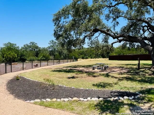 a view of a backyard with large trees