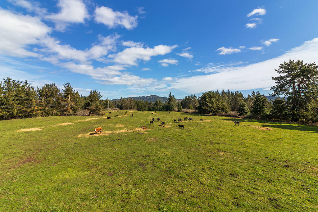 117 Table Bluff Road Loleta, CA 95551 - Photo 86 of 127 87