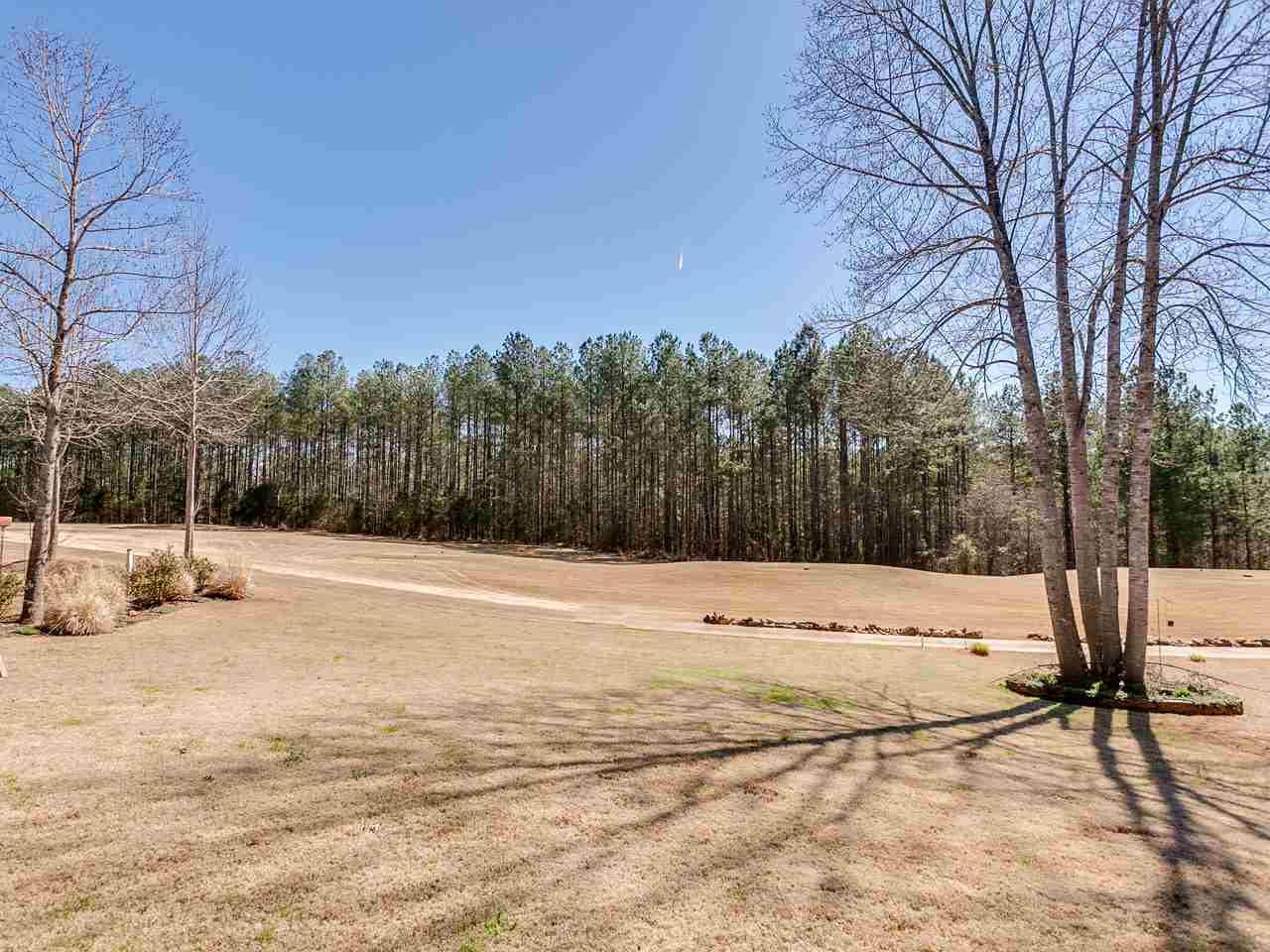 124 Bay Tree Court Inman, SC 29349 - Photo 32 of 33