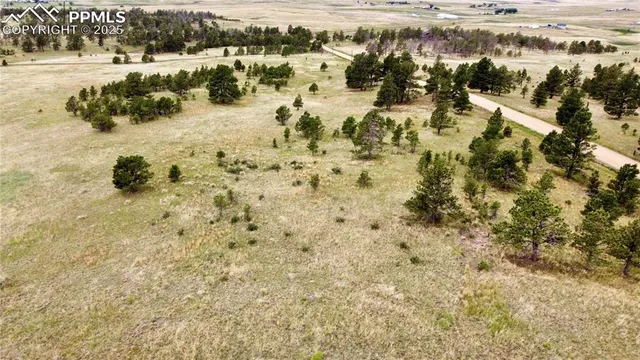 a view of yard with large trees