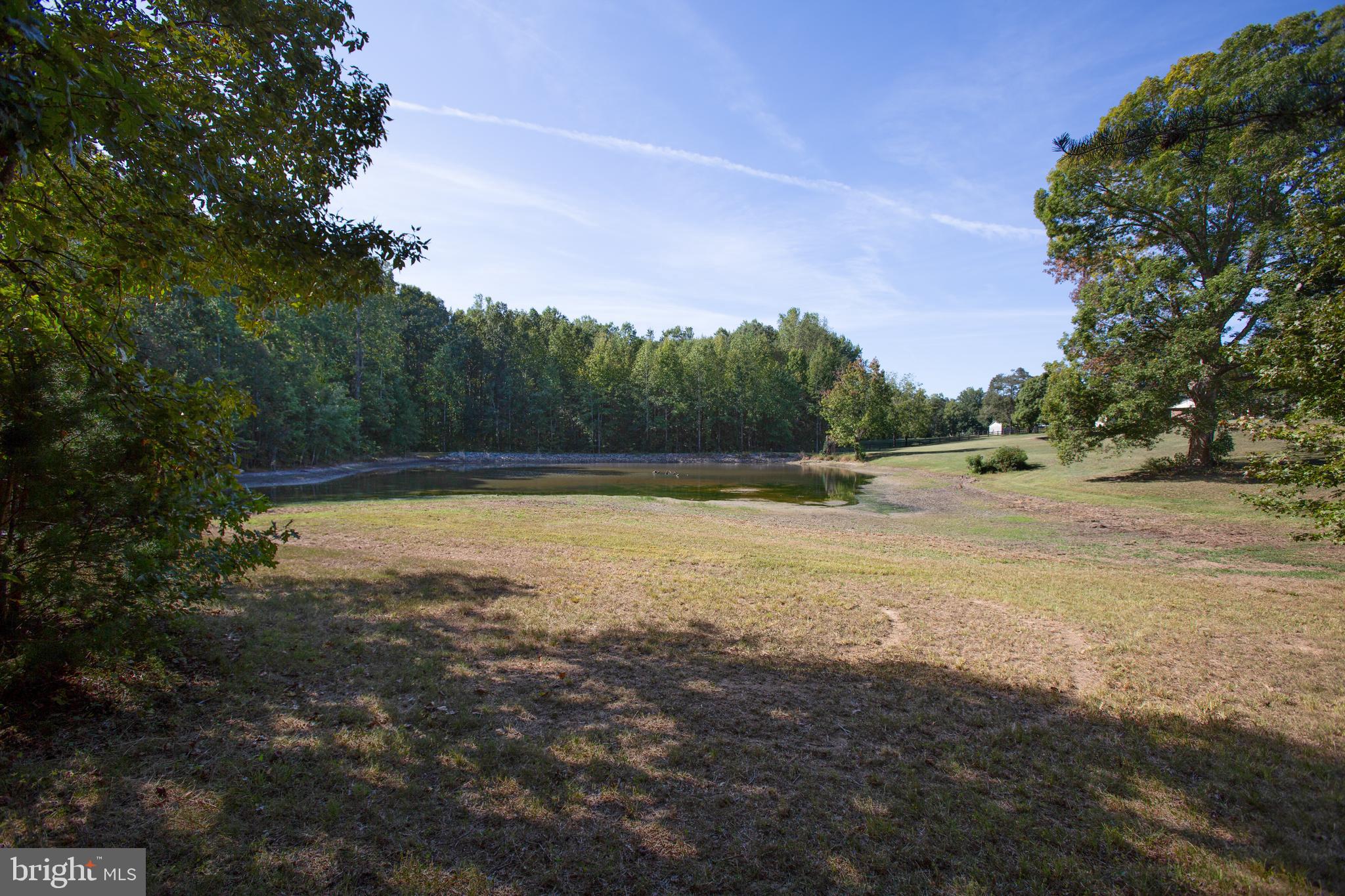 9100 Marye Road Partlow, VA 22534 - Photo 54 of 65 View of the Pond