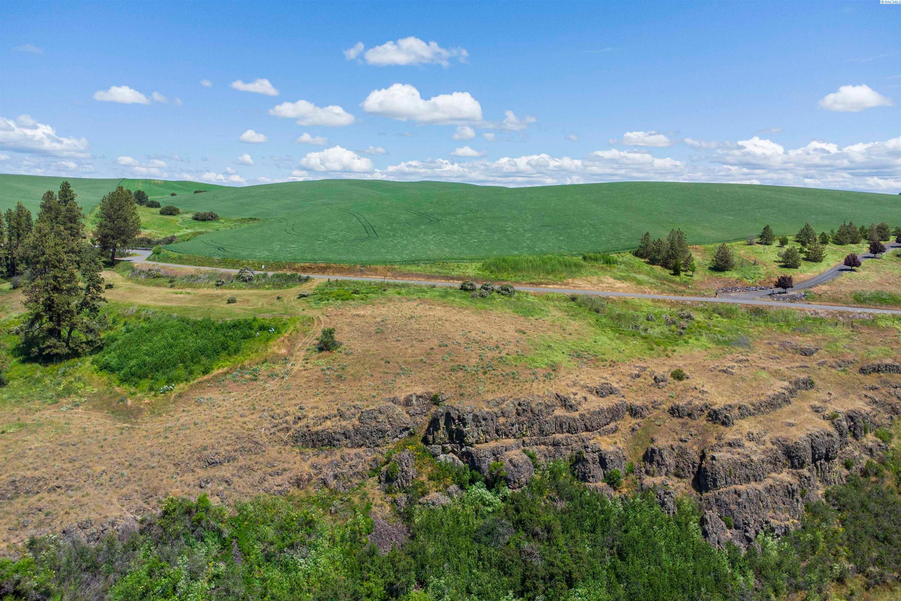 Tbd Elberton Road Garfield, WA 99130 - Photo 6 of 15 Gallery Image 6