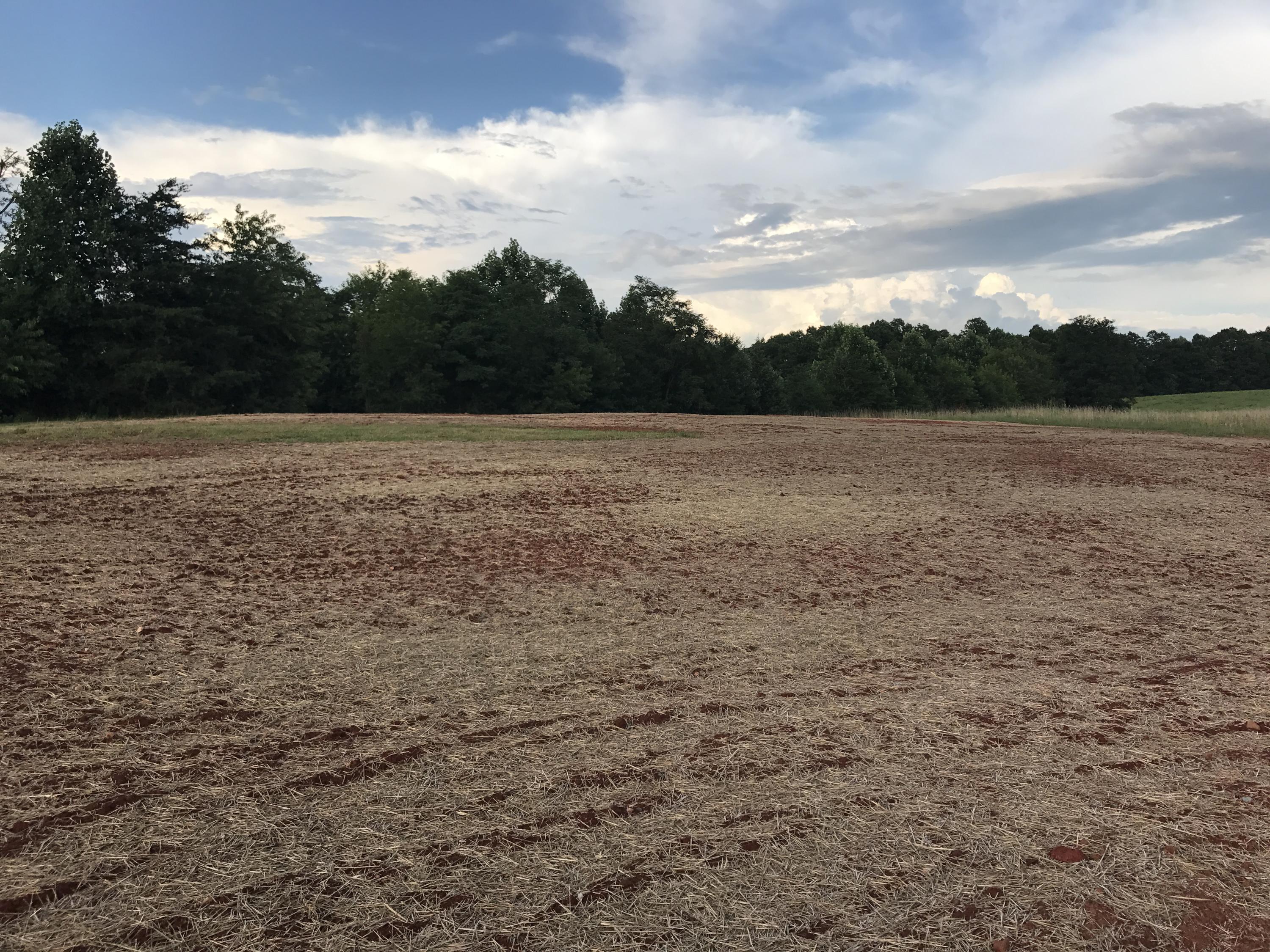 3700 Edwardsville Road Hardy, VA 24101 - Photo 20 of 22 Backyard