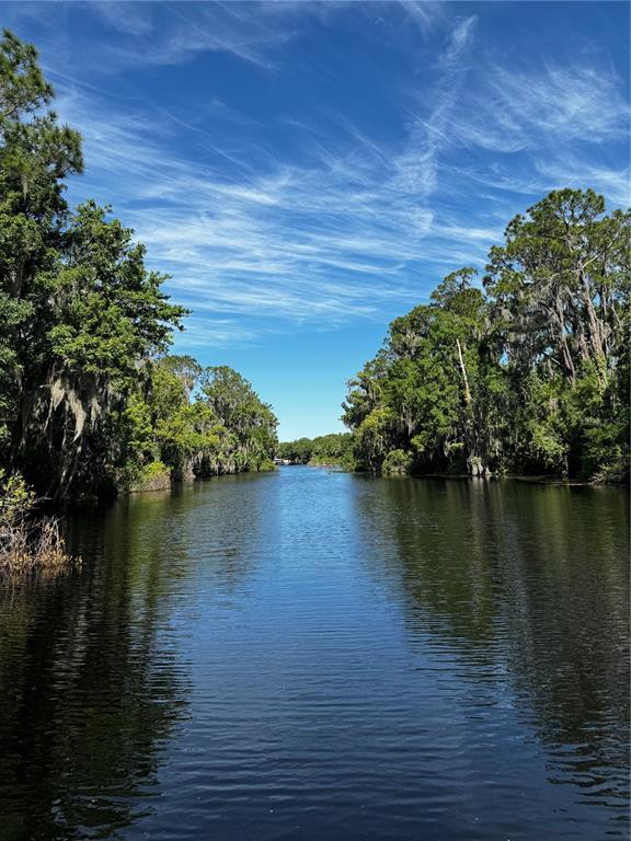 3385 Lake Diane Road Tavares, FL 32778 - Photo 31 of 49 a view of lake