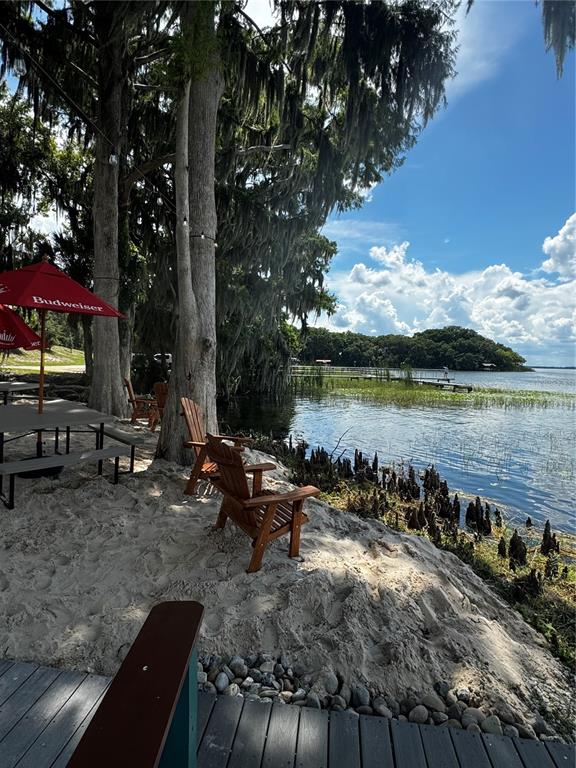 3385 Lake Diane Road Tavares, FL 32778 - Photo 44 of 49 a backyard of a house with table and chairs