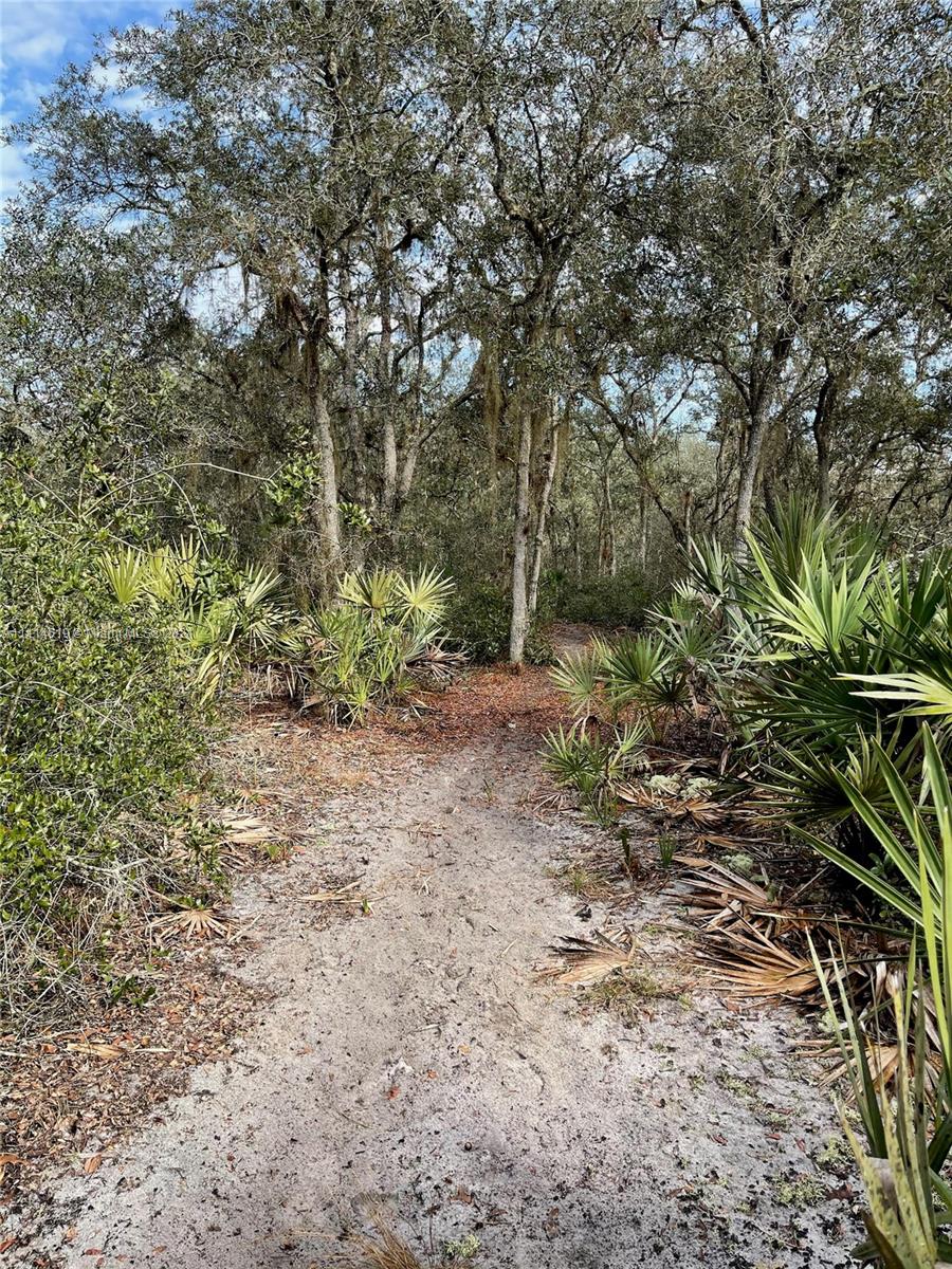1638 R E Byrd Road Frostproof, FL 33843 - Photo 1 of 5 a view of a yard with a tree