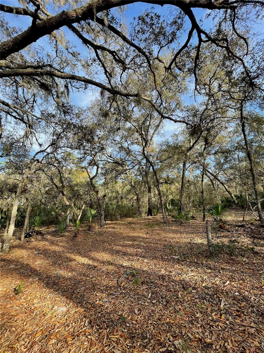 1638 R E Byrd Road Frostproof, FL 33843 - Photo 2 of 5 a view of outdoor space with trees