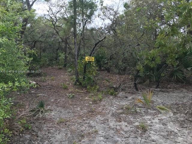 1638 R E Byrd Road Frostproof, FL 33843 - Photo 4 of 5 a view of a forest with trees in the background