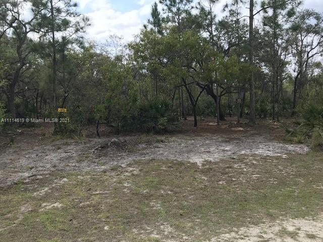 1638 R E Byrd Road Frostproof, FL 33843 - Photo 5 of 5 a view of outdoor space with trees