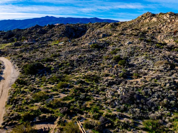 a view of a dry yard