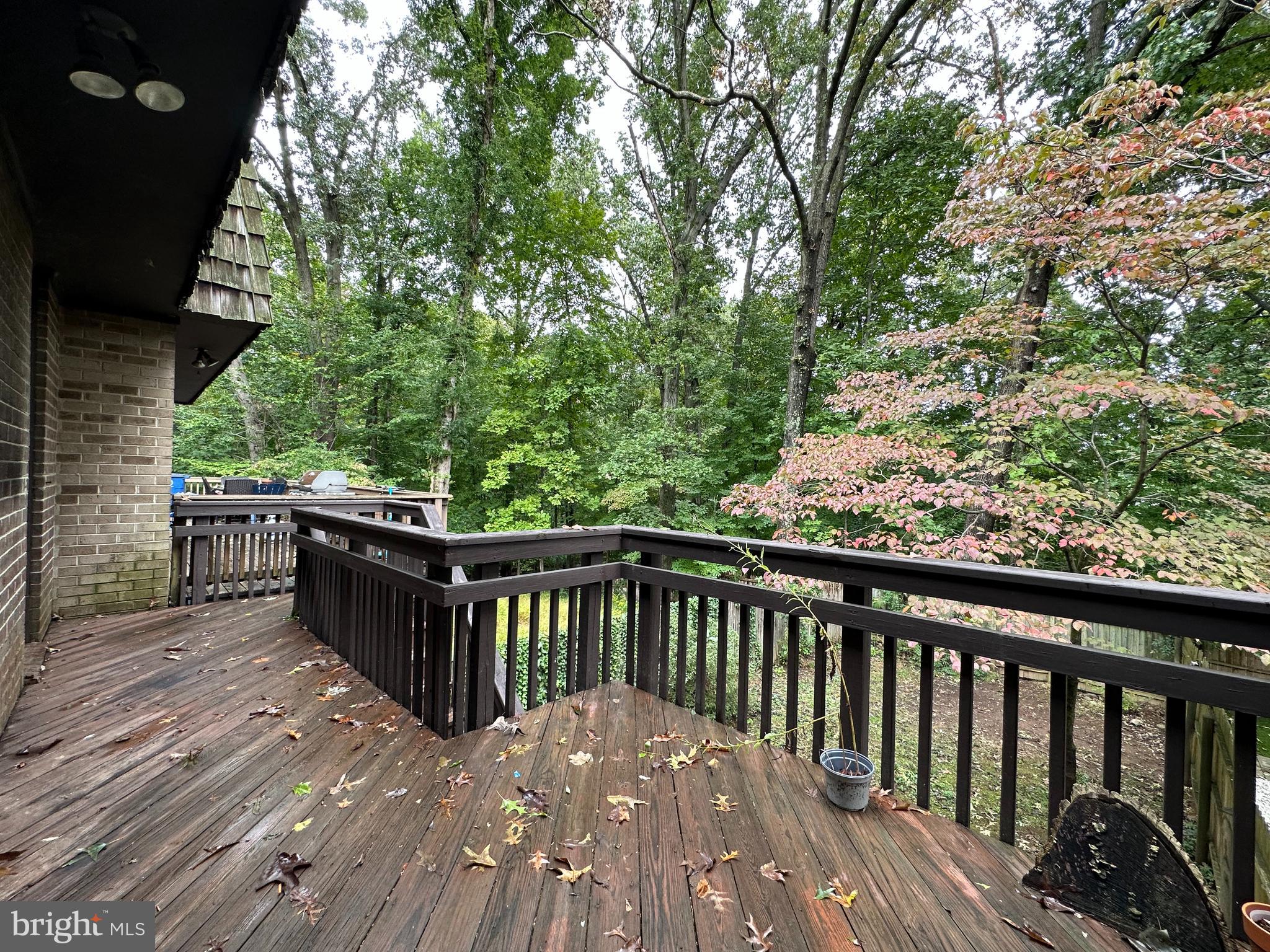 8119 Inverness Ridge Road Potomac, MD 20854 - Photo 41 of 42