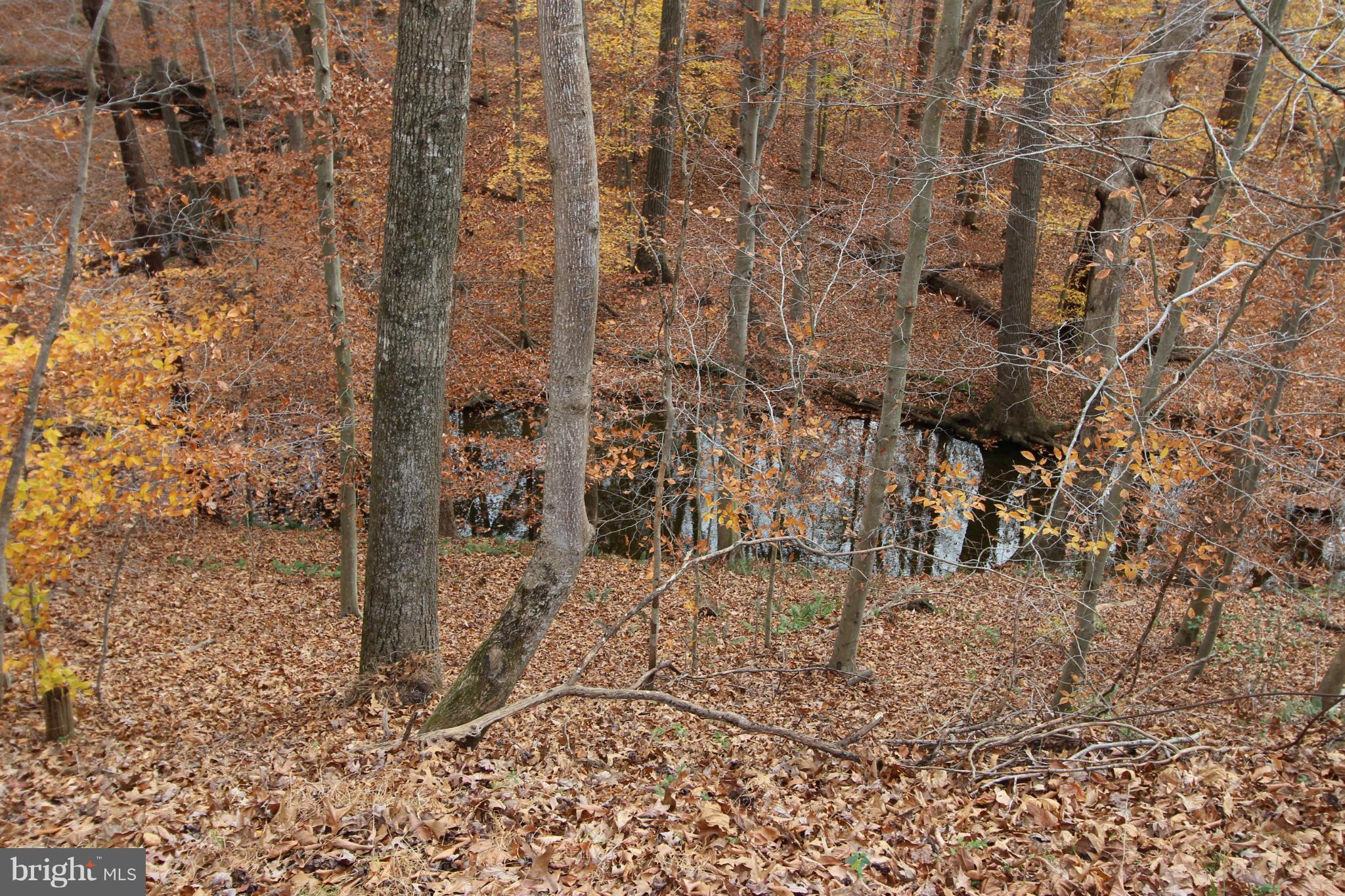 7029 Union Mill Road Clifton, VA 20124 - Photo 13 of 15 Exterior (General)