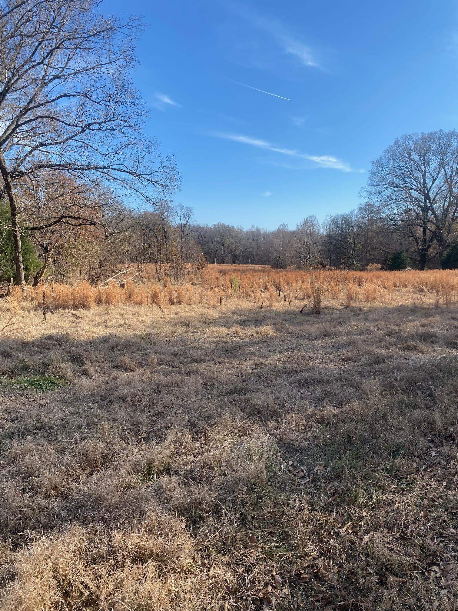 a view of lake view with mountain