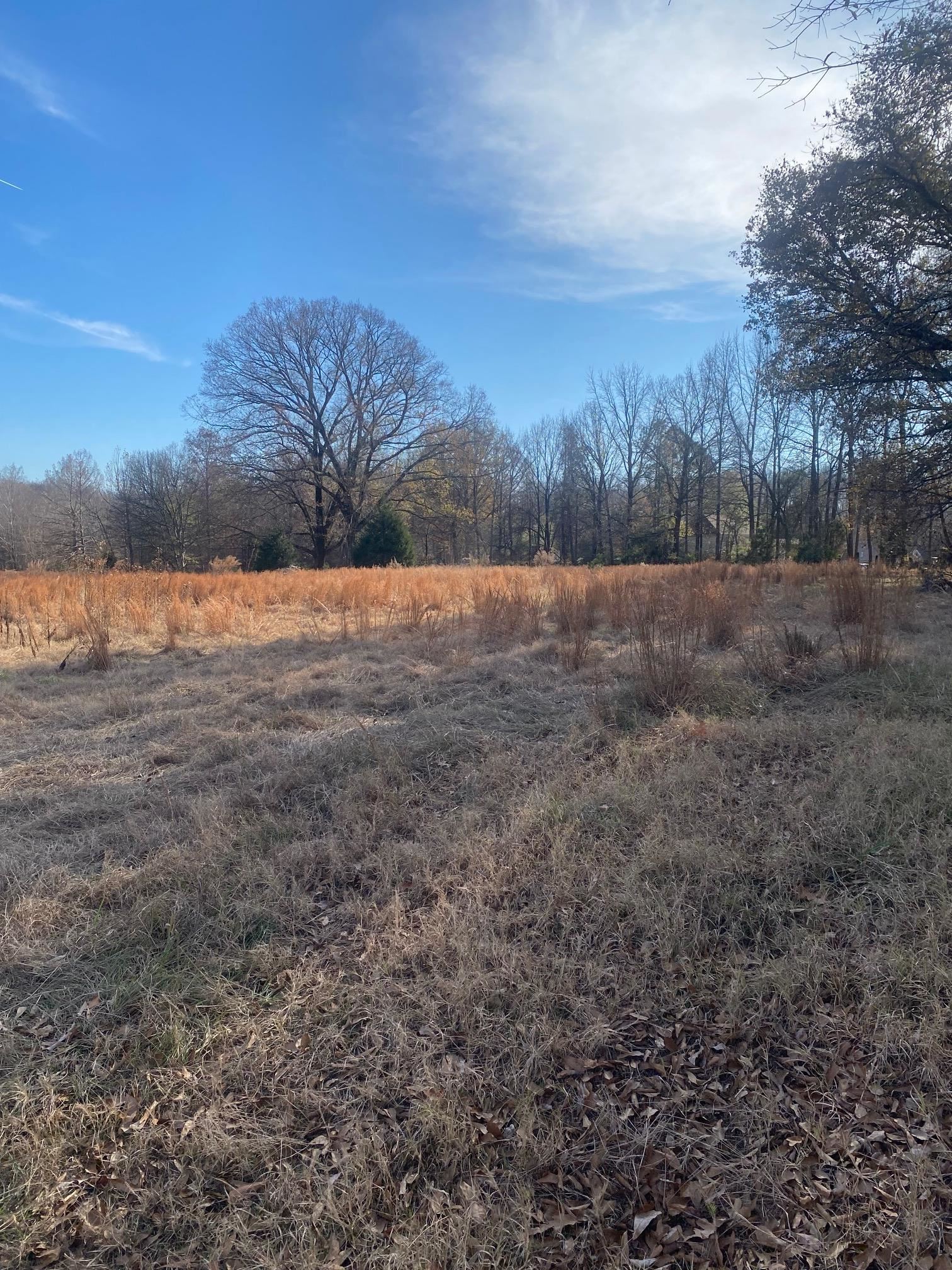 3734 Old Brownsville Road Memphis, TN 38135 - Photo 2 of 8 a view of an outdoor space and mountain view