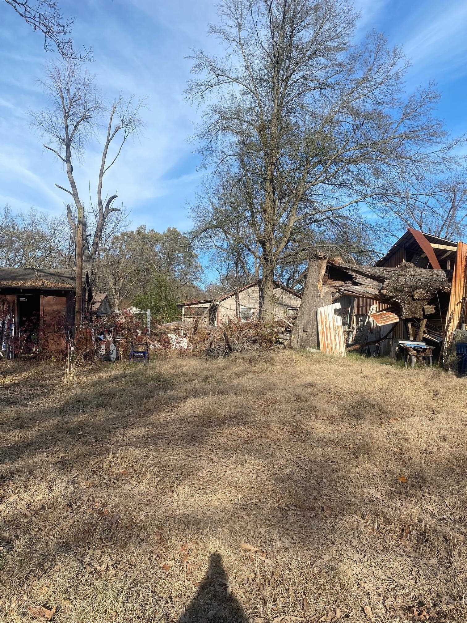3734 Old Brownsville Road Memphis, TN 38135 - Photo 3 of 8 a view of outdoor space with deck and tree