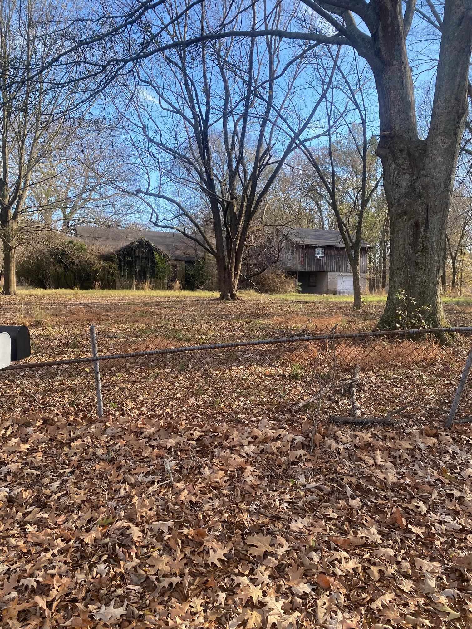 3734 Old Brownsville Road Memphis, TN 38135 - Photo 5 of 8 a view of a yard with plants and trees