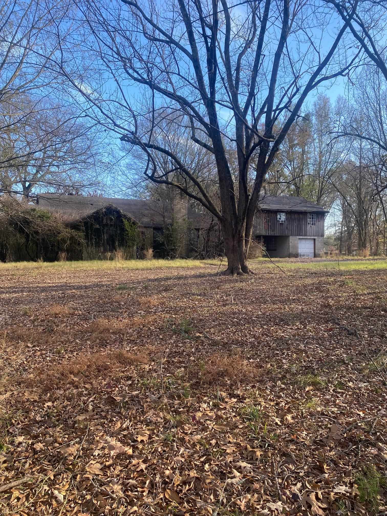 3734 Old Brownsville Road Memphis, TN 38135 - Photo 6 of 8 a view of house with yard