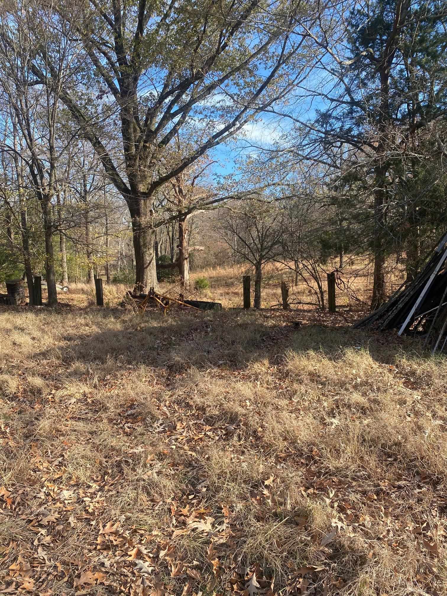 3734 Old Brownsville Road Memphis, TN 38135 - Photo 7 of 8 a view of a yard with a tree
