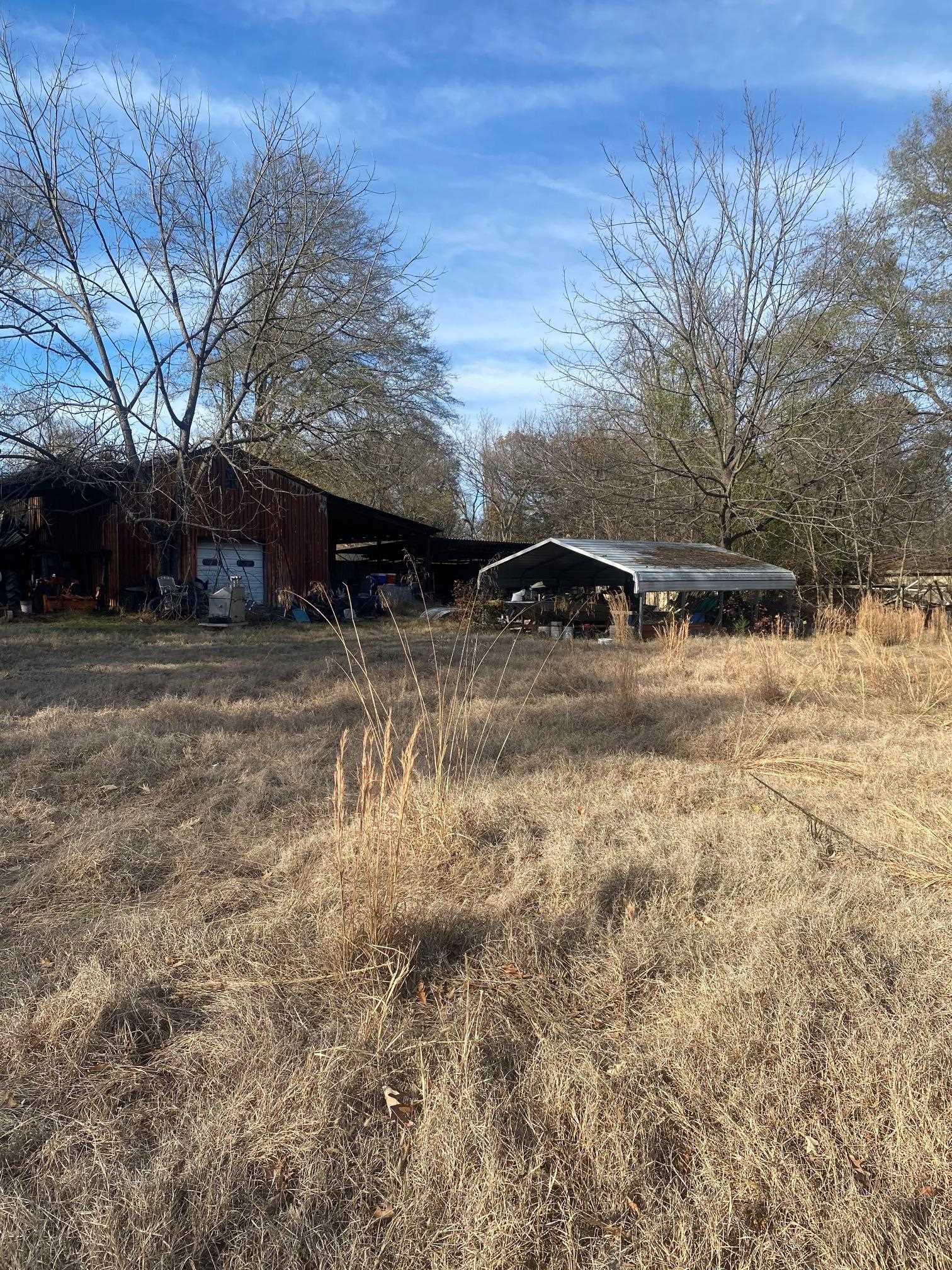 3734 Old Brownsville Road Memphis, TN 38135 - Photo 8 of 8 a view of a yard with a tree