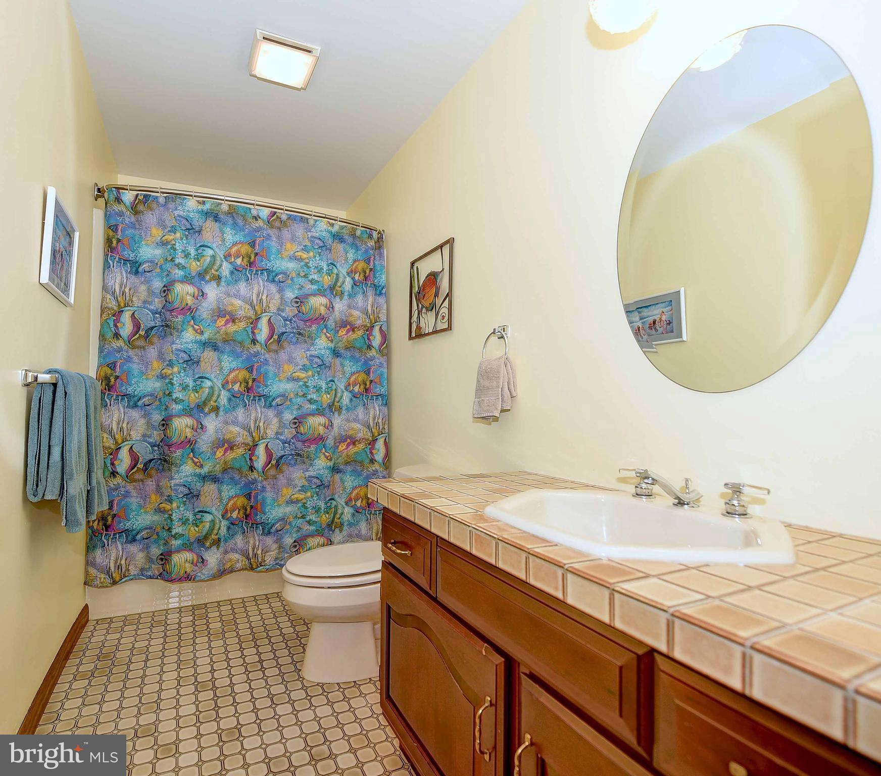 4516 Meadowcliff Road Glen Arm, MD 21057 - Photo 23 of 29 Lower Level Full Bathroom
