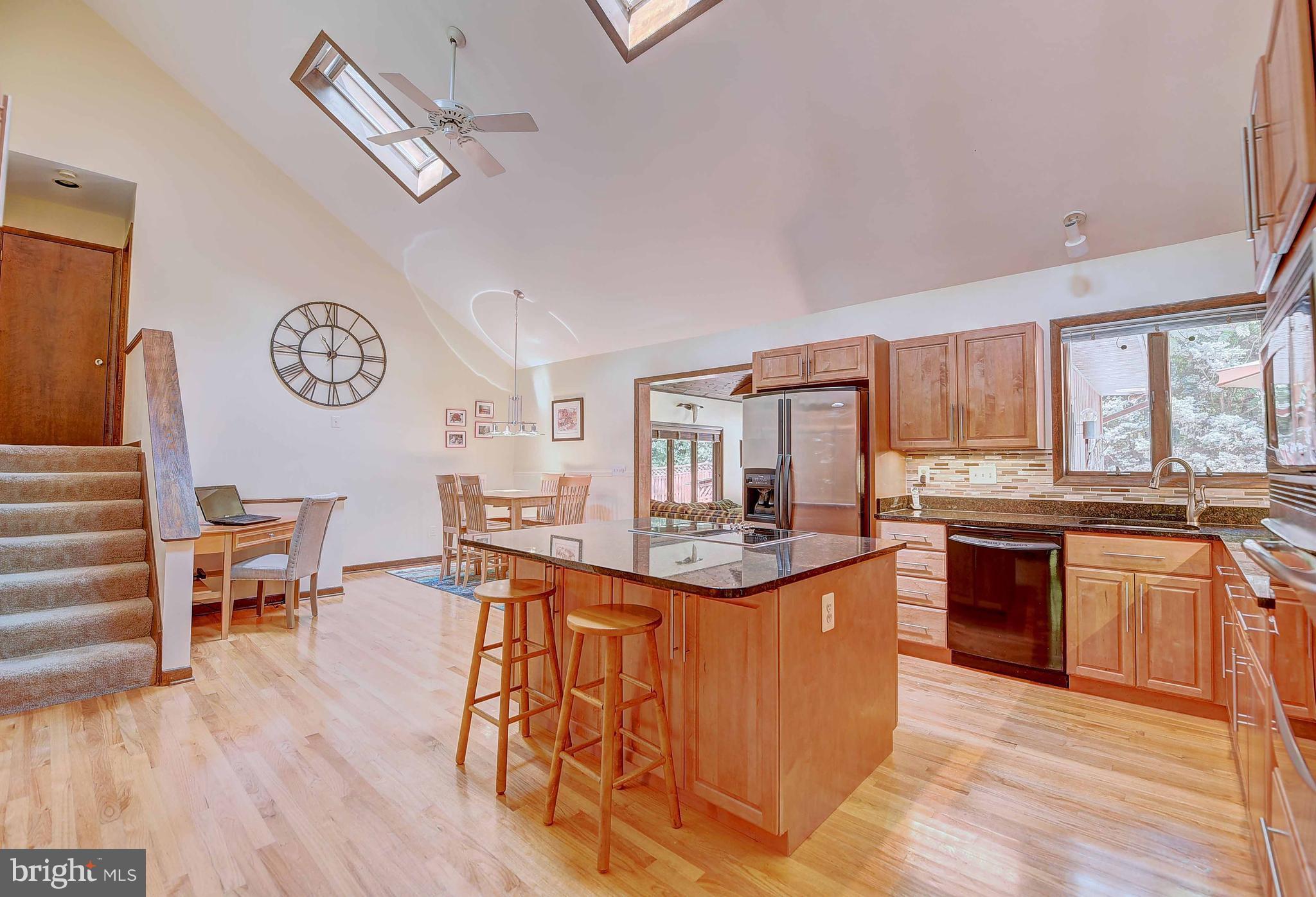 4516 Meadowcliff Road Glen Arm, MD 21057 - Photo 7 of 29 Vaulted Ceiling with Skylights