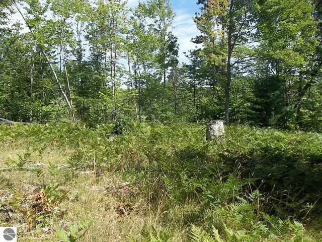2576 Valley Road Northwest Kalkaska, MI 49646 - Photo 7 of 13 1789927-6.JPG