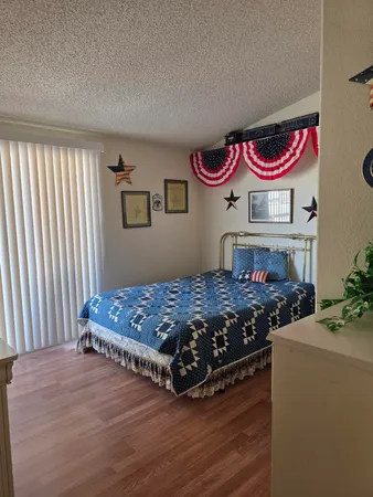 a view of a yard with palm tree