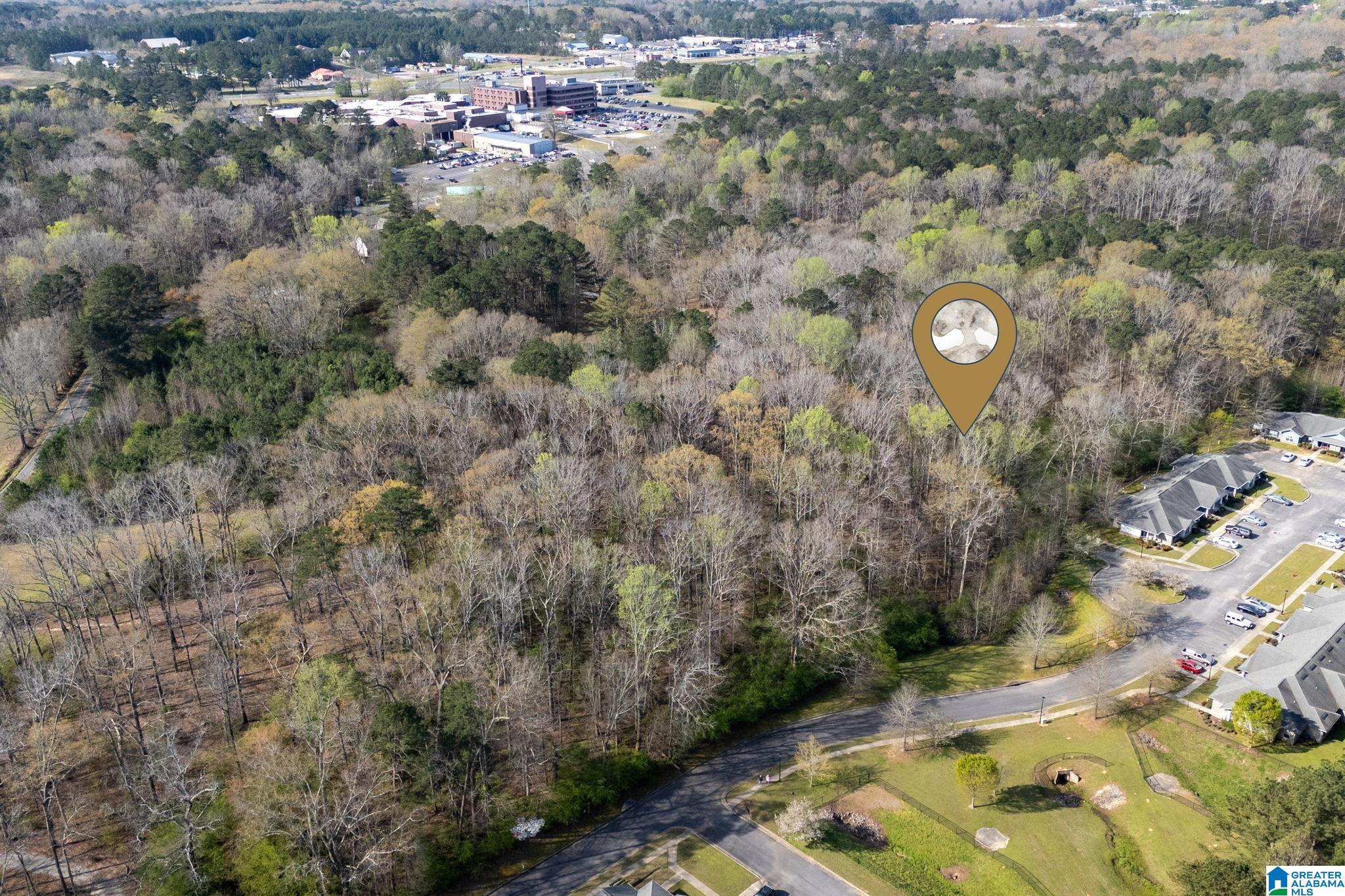 358 Blackwell Dairy Road Jasper, AL 35501 - Photo 9 of 22