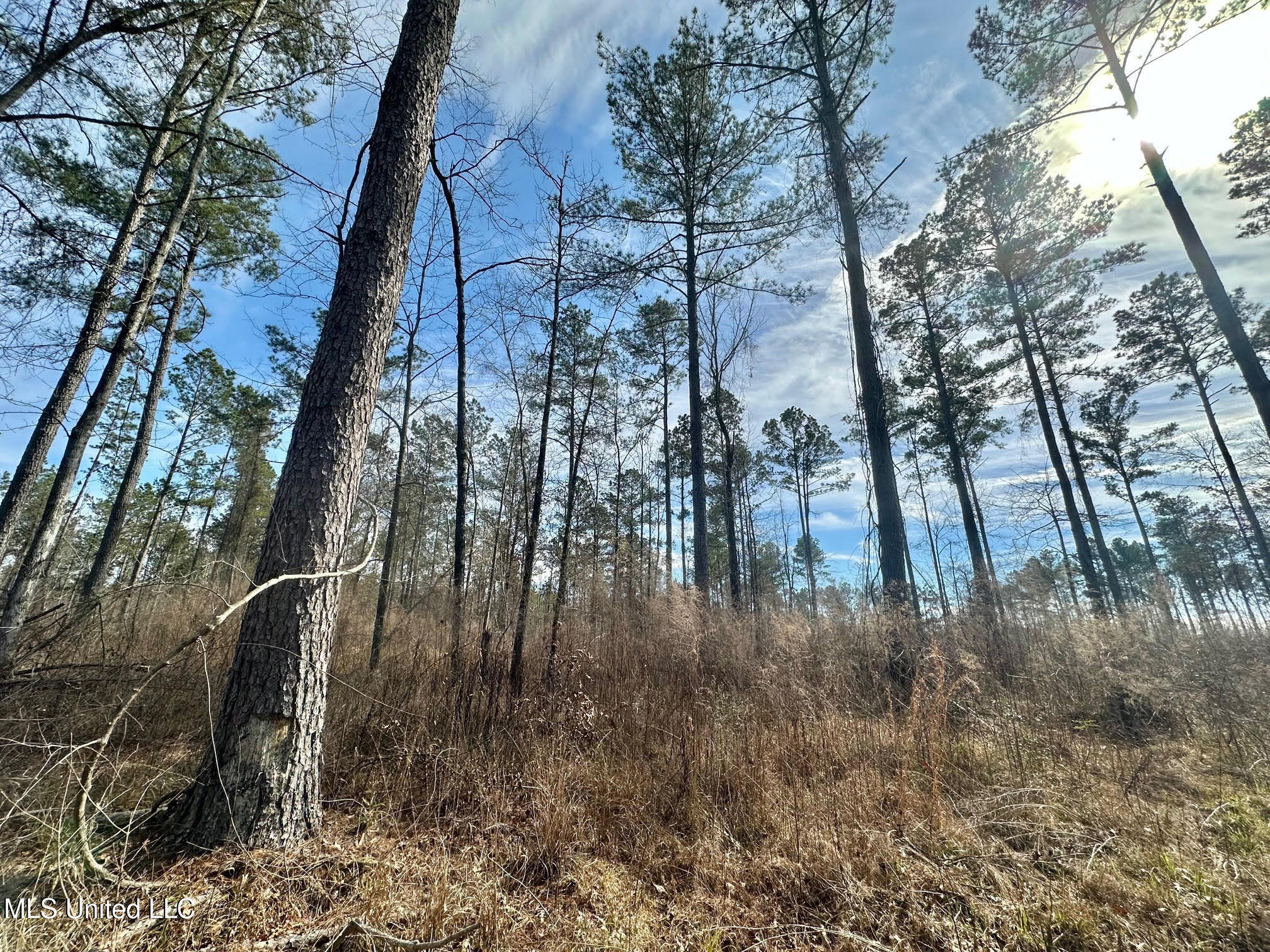 1 Prentiss Crump Road Utica, MS 39175 - Photo 14 of 38 563