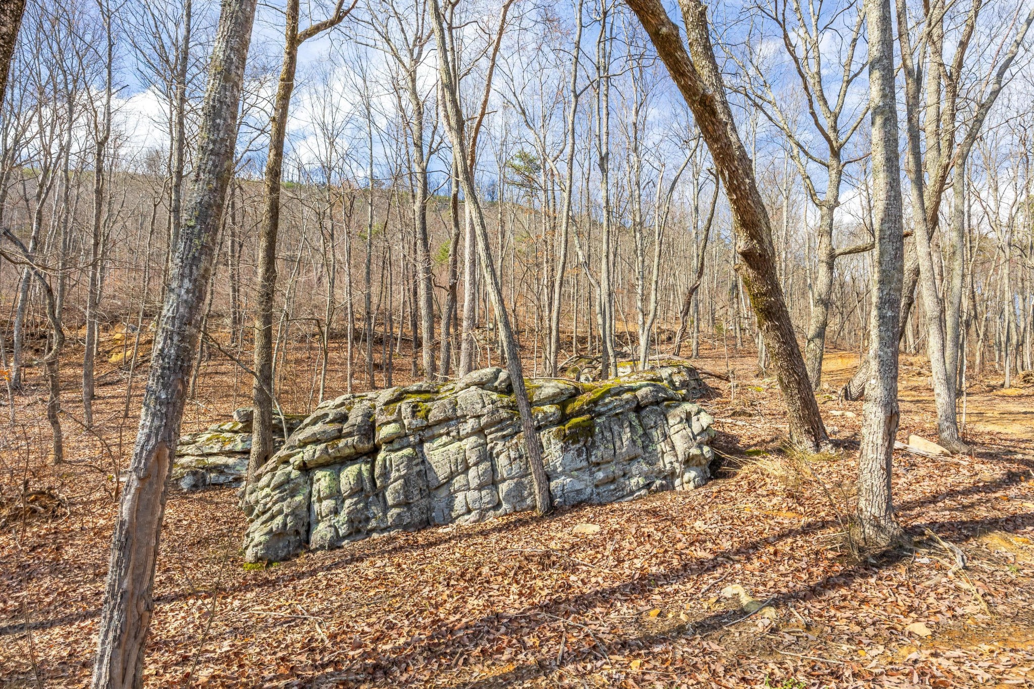 0 Lee Station Mountain Road Pikeville, TN 37367 - Photo 12 of 31 a view of a backyard of the house
