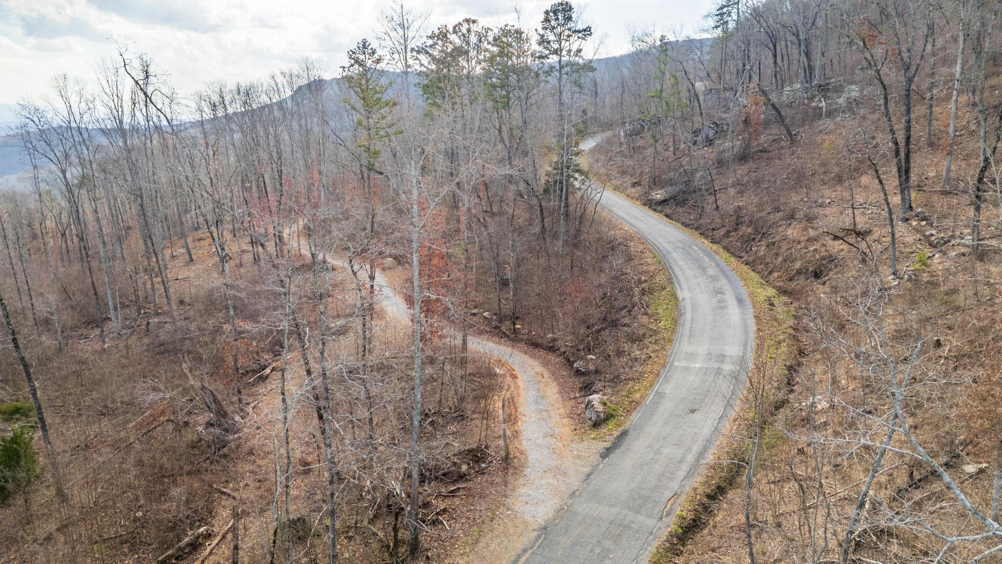 0 Lee Station Mountain Road Pikeville, TN 37367 - Photo 15 of 31 a view of a dry yard with trees in the background