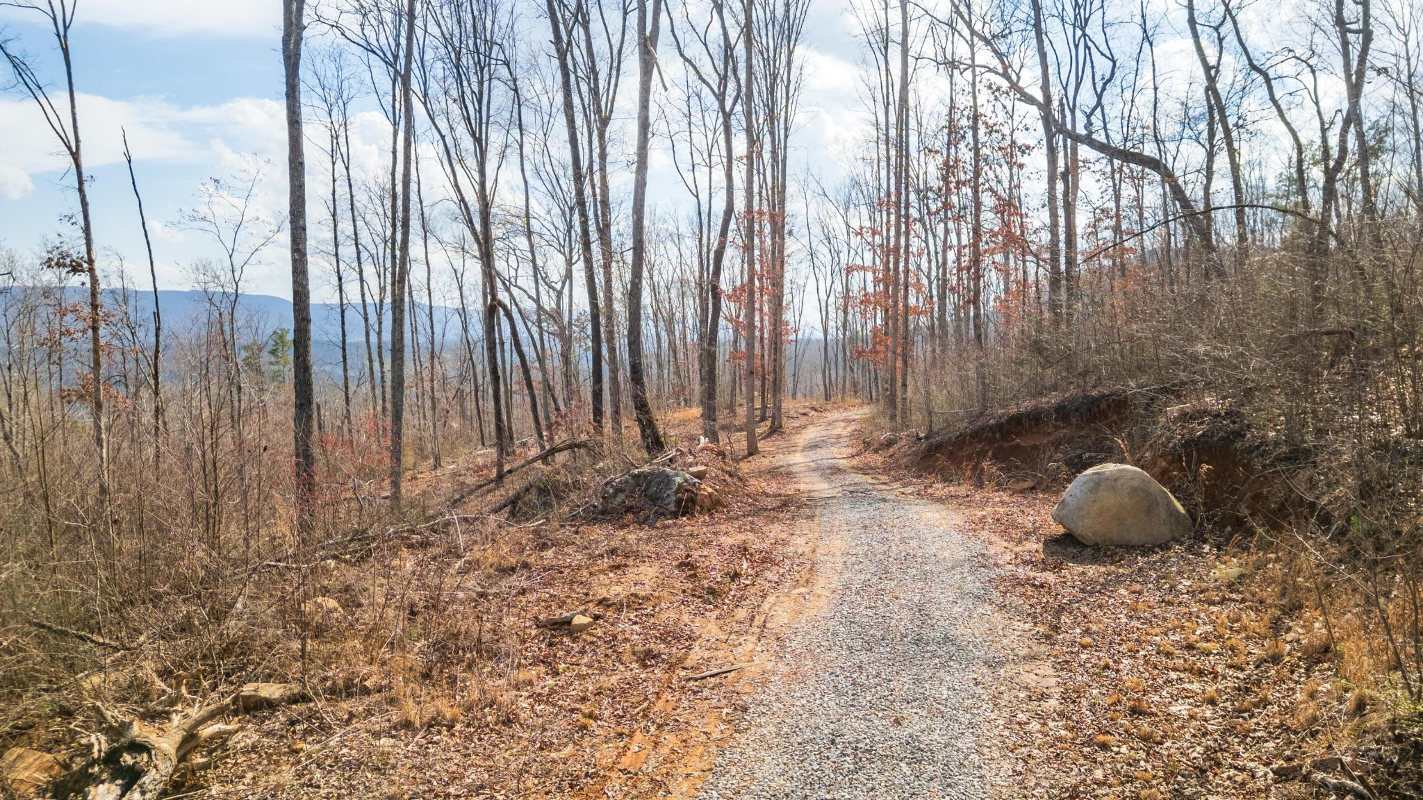 0 Lee Station Mountain Road Pikeville, TN 37367 - Photo 17 of 31 a view of a backyard
