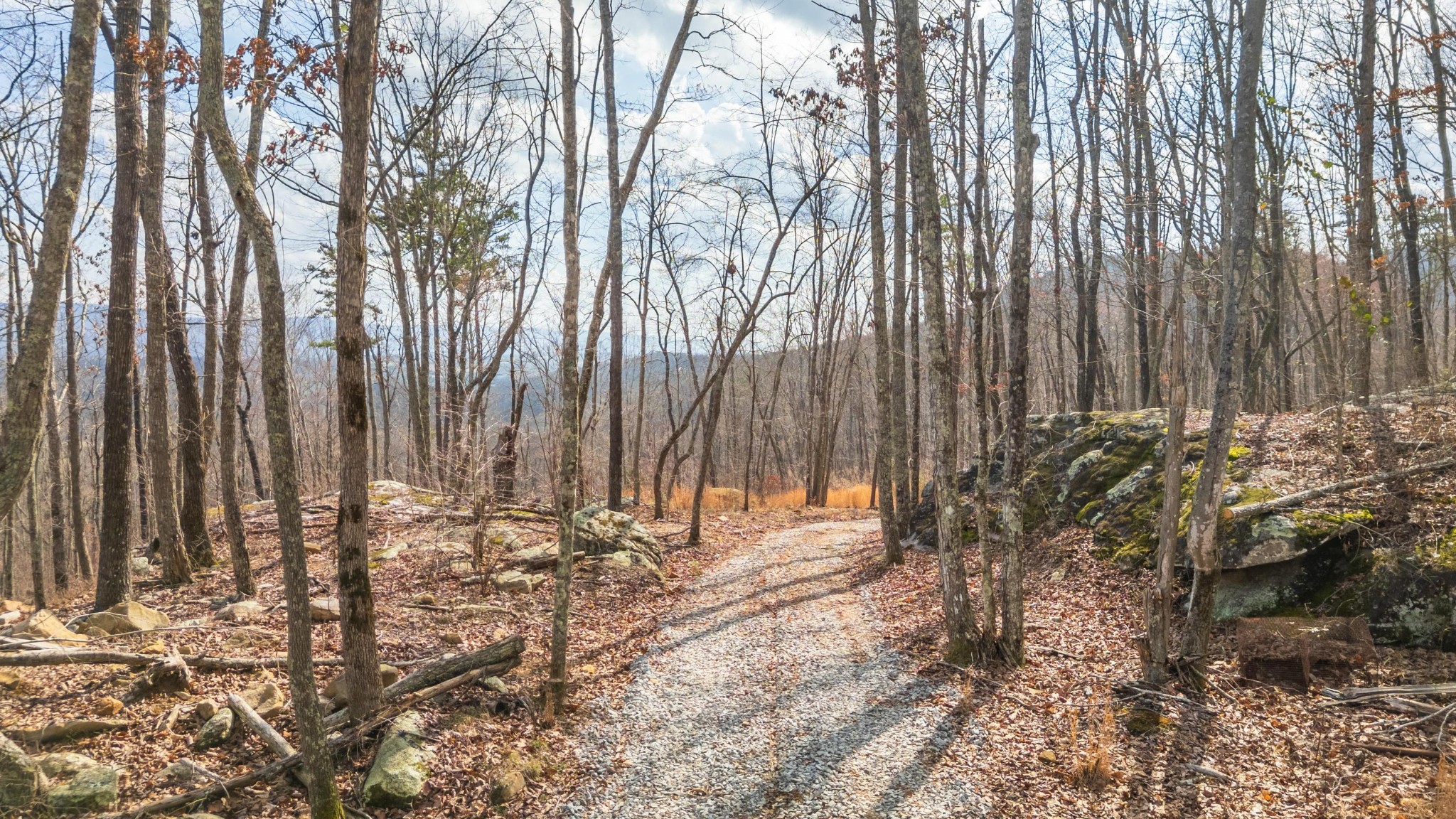 0 Lee Station Mountain Road Pikeville, TN 37367 - Photo 18 of 31 a view of wooden fence and trees
