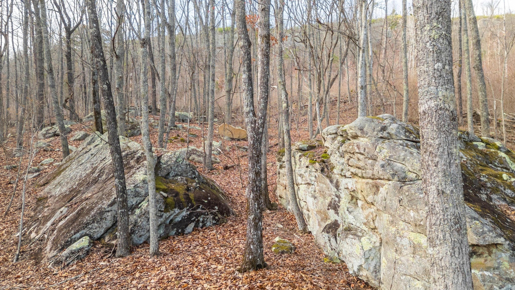 0 Lee Station Mountain Road Pikeville, TN 37367 - Photo 20 of 31 a bathroom with a shower curtain