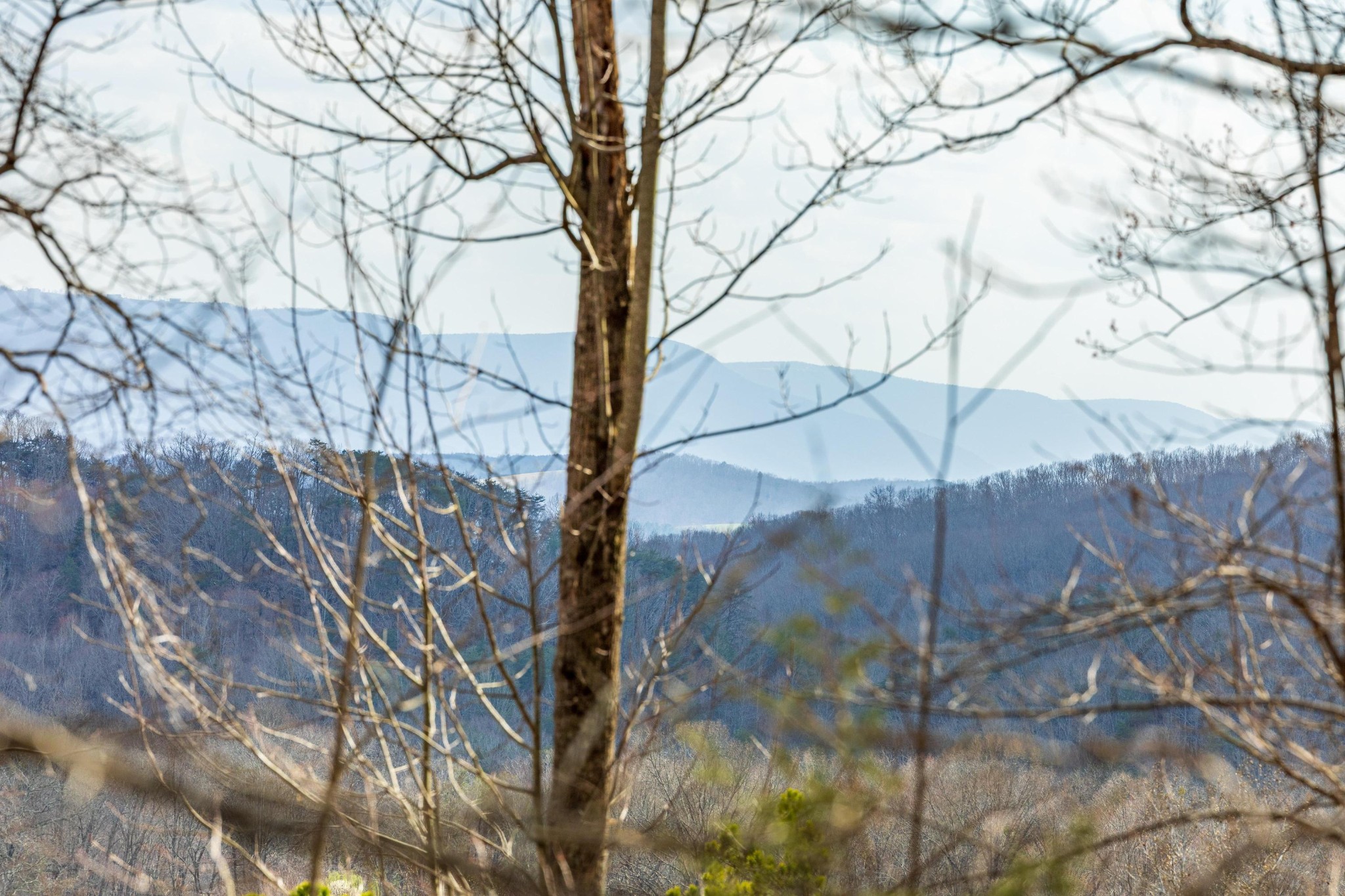 0 Lee Station Mountain Road Pikeville, TN 37367 - Photo 24 of 31 a backyard of a house with table and chairs under an umbrella